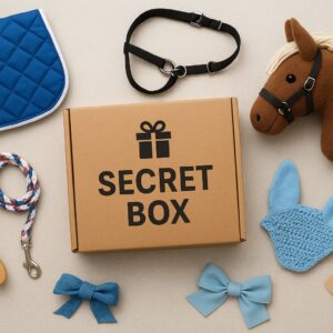 Secret Box Mystery Box Mini A3